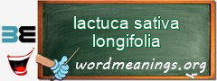 WordMeaning blackboard for lactuca sativa longifolia